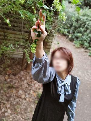 沼田